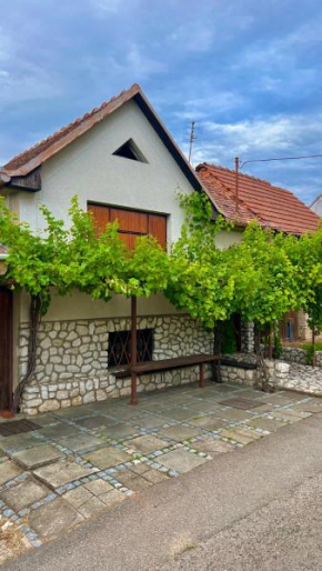 Ubytování Pod Hrozny, Velké Bílovice